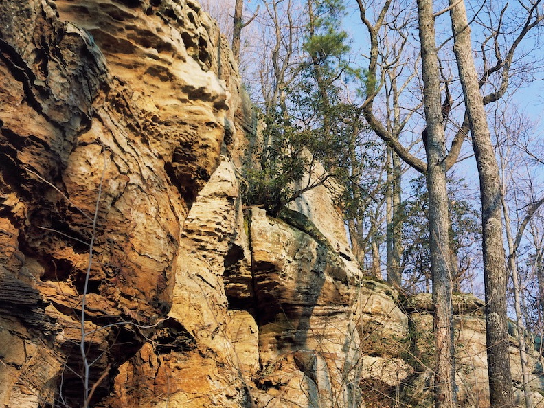 Sheltowee Trace sunset